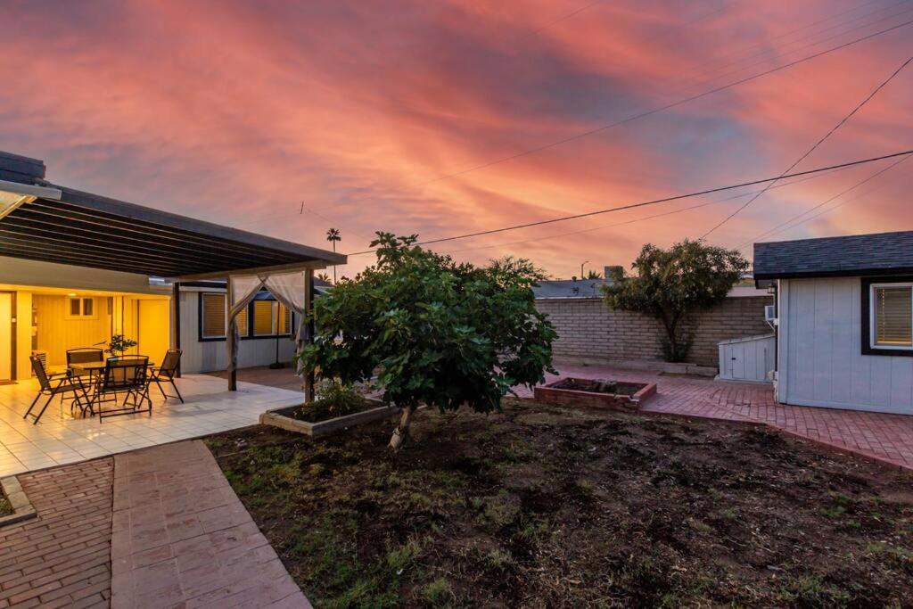 New Midtown Modern Studio With Backyard Phoenix Extérieur photo