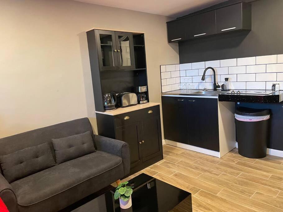 New Midtown Modern Studio With Backyard Phoenix Extérieur photo