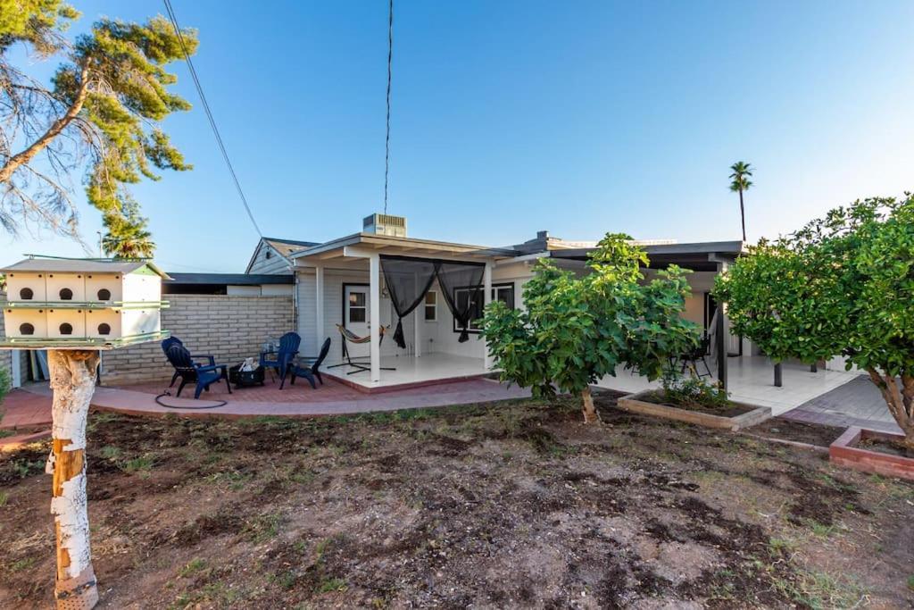 New Midtown Modern Studio With Backyard Phoenix Extérieur photo